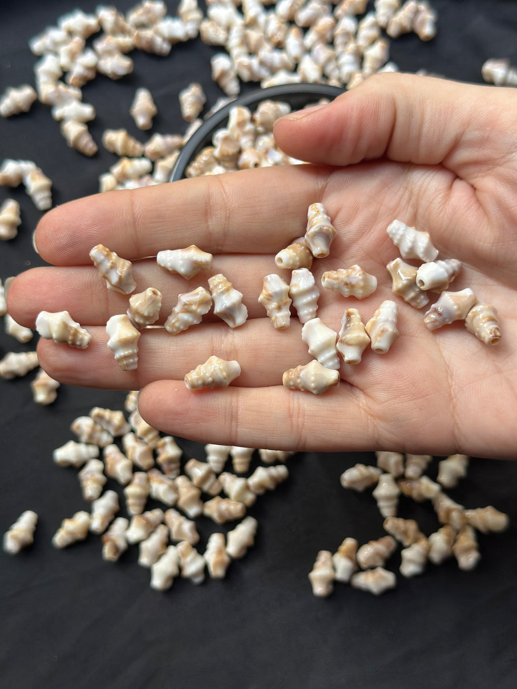 50 Adet 13.2 mm Deniz Kabuğu Figürlü Akrilik Plastik Boncuk – Karışık Renkli Takı ve Dekor Boncuğu